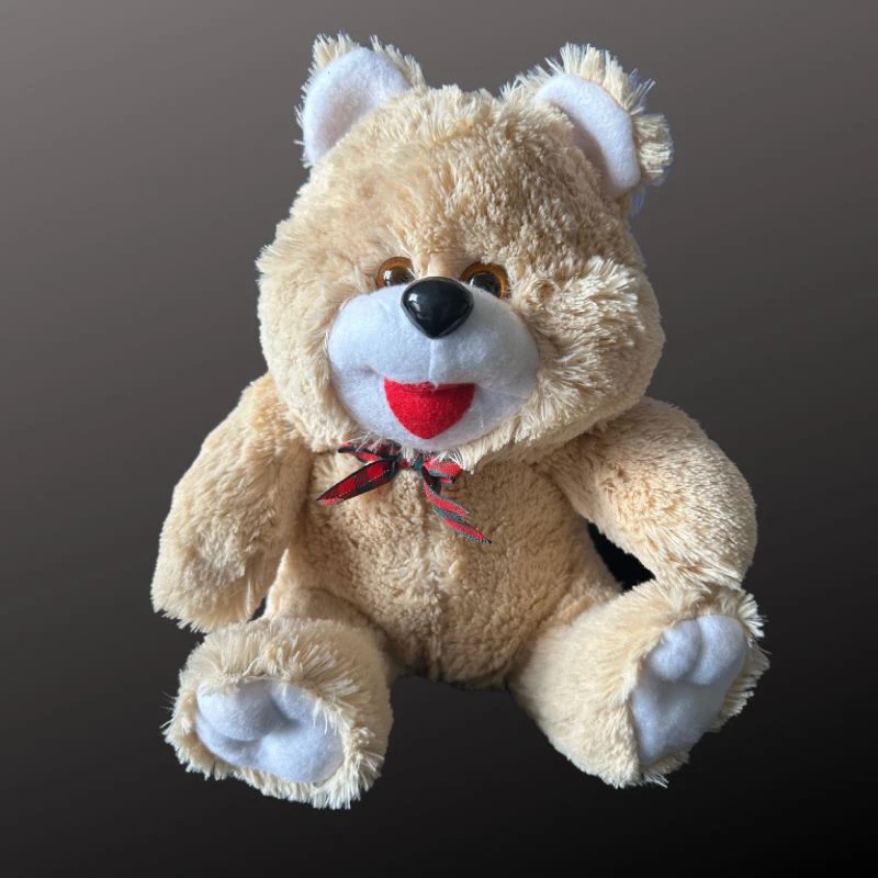 Teddy Bear - Medium Soft Toy