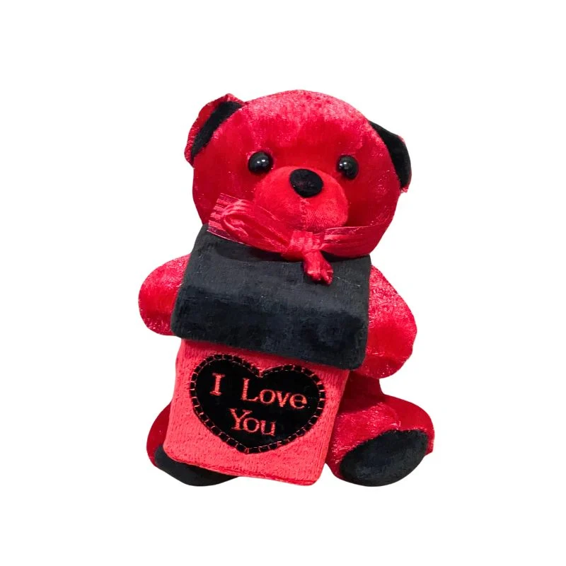 Love Teddy with Gift Box Large