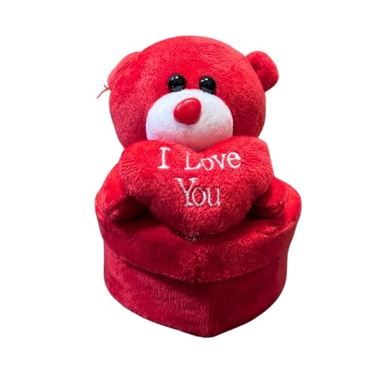 Love Teddy with Gift Box Small